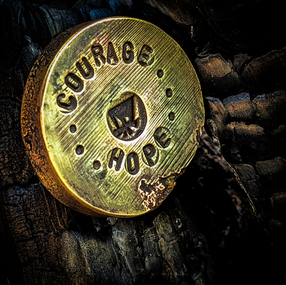 Customisable Worry Coin! / EDC